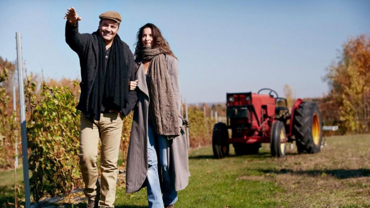 Mario Pelchat défie une interdiction et maintient les spectacles à son vignoble