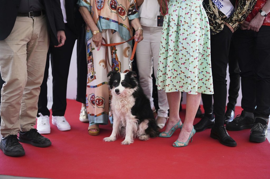 Panda remporte le prix 2025 Palm Dog à Cannes — et son sosie l'accepte